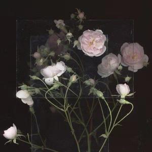 美女露出❌❌部位
